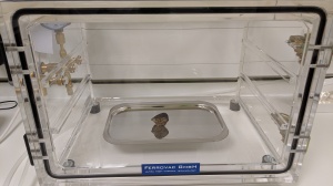 OUT18007 was the first meteorite defrosted in our vacuum chamber.